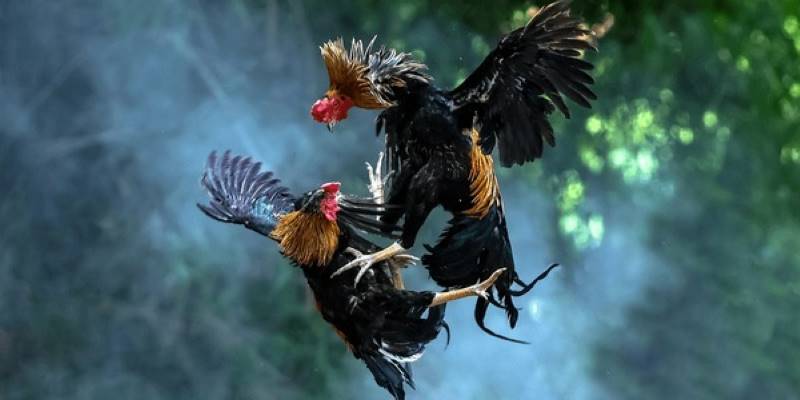 Những điểm mạnh nổi trội của sảnh chơi được lòng hội viên
