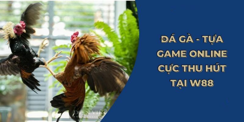 Tổng quan về sảnh đá gà tại nhà cái WW88